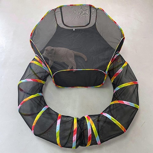Tente pour chat avec - avec, tunnel