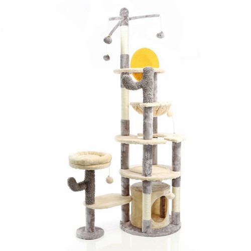 Fudajo arbre chat - arbre, gris